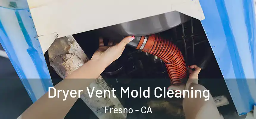 Dryer Vent Mold Cleaning Fresno - CA