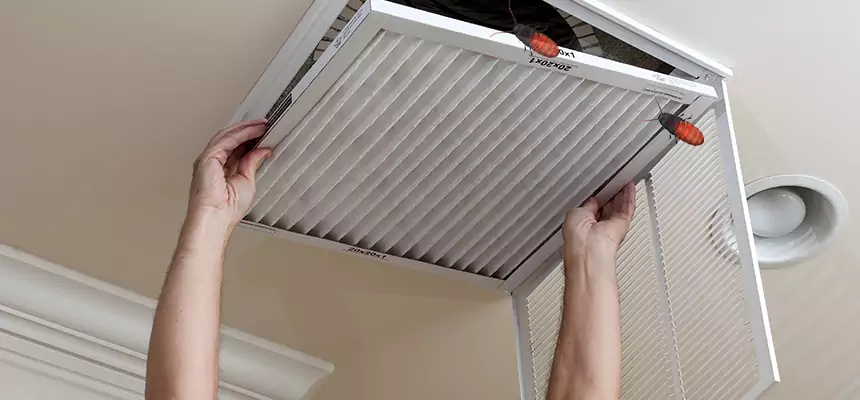 Preventive Cockroach-Proofing for Ducts in Fresno