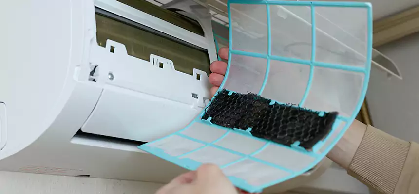 Gentle Ductwork Odor-Control Pet Dander Duct Cleaning in Fresno, CA