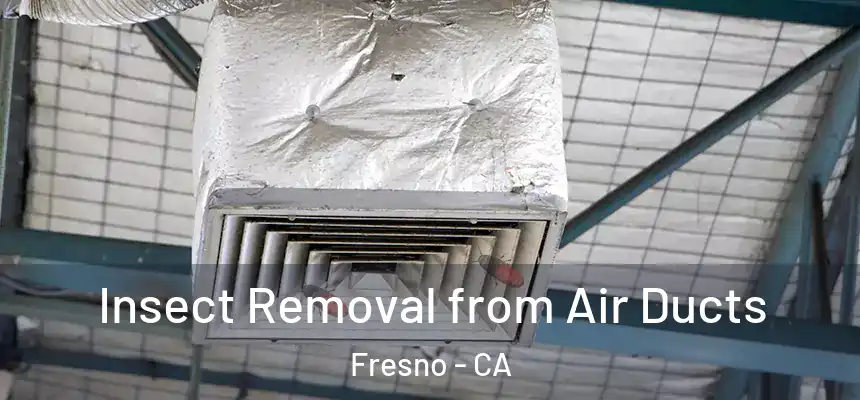 Insect Removal from Air Ducts Fresno - CA