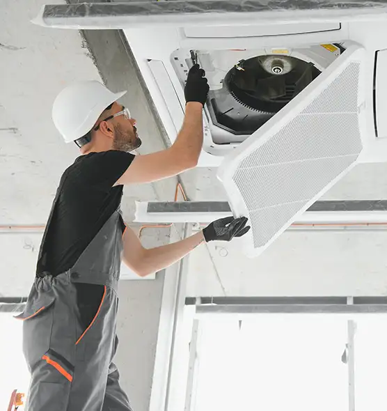 About Air Duct Rodent Removal in Fresno, CA