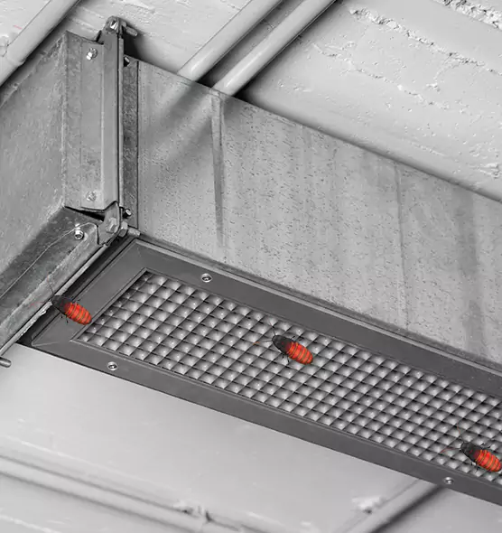 Affordable Insect Removal from Air Ducts in Fresno, CA