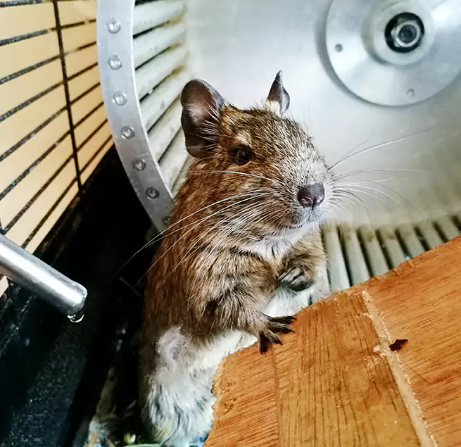 Why Homeowners & Businesses Trust Us Fresno, CA?