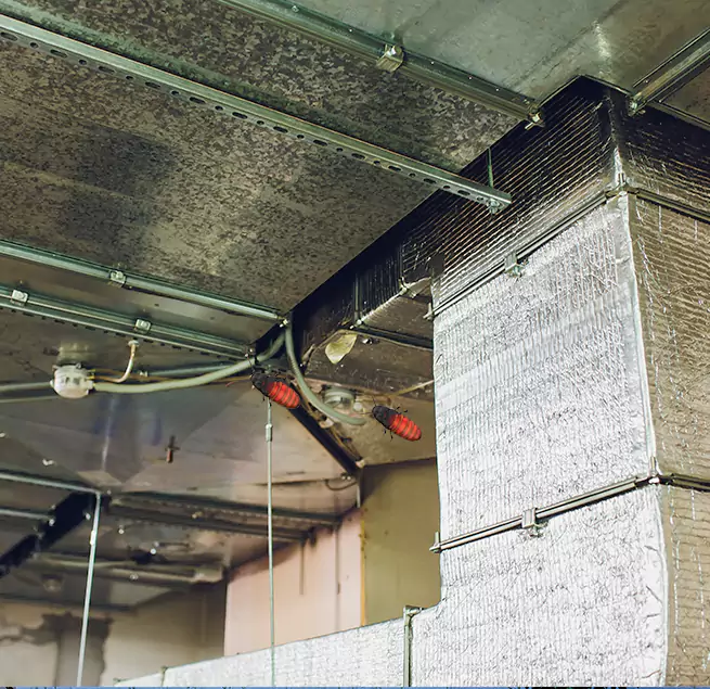 Why Homeowners & Businesses Trust Us Fresno, CA?